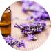 Lavender E/O: Vital Herb